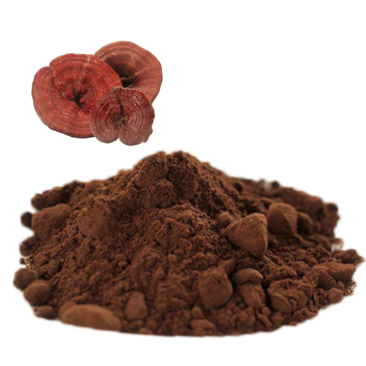 Reishi Extract for Stress Relief: Dosage and Results